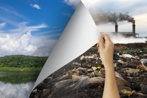 Шотландия через 3 года будет использовать только возобновляемую энергию