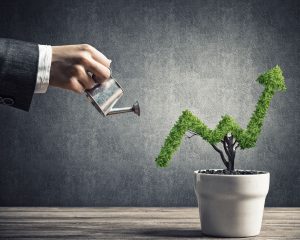 Квартальная прибыль Nvidia обвалилась на 50%