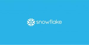 Почему не стоит покупать акции Snowflake